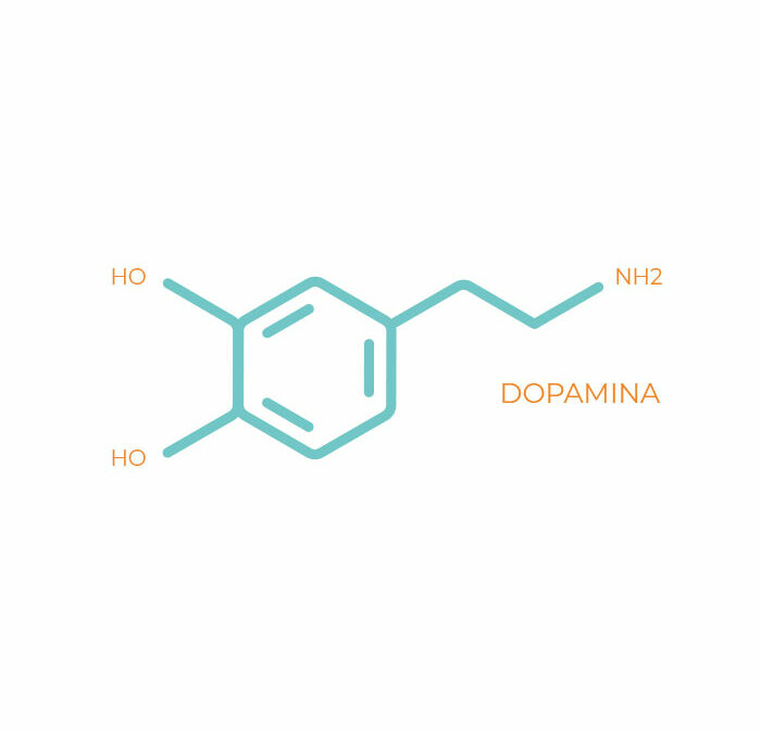 La Dopamina. Via de producción del acufeno
